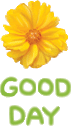  photo 65el.gif