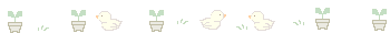 photo bco0502.gif
