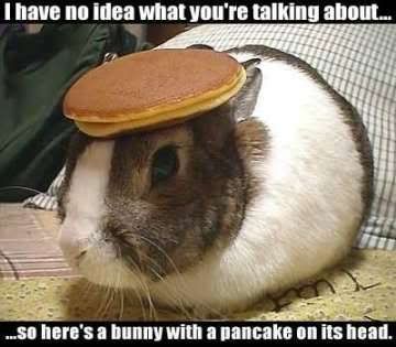 [Image: rabbit_pancake.jpg]