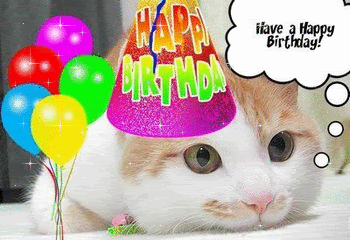 happy-birthday-cat-glitter.gif BIRTHDAY KITTY image by itsabeautifulday_photos