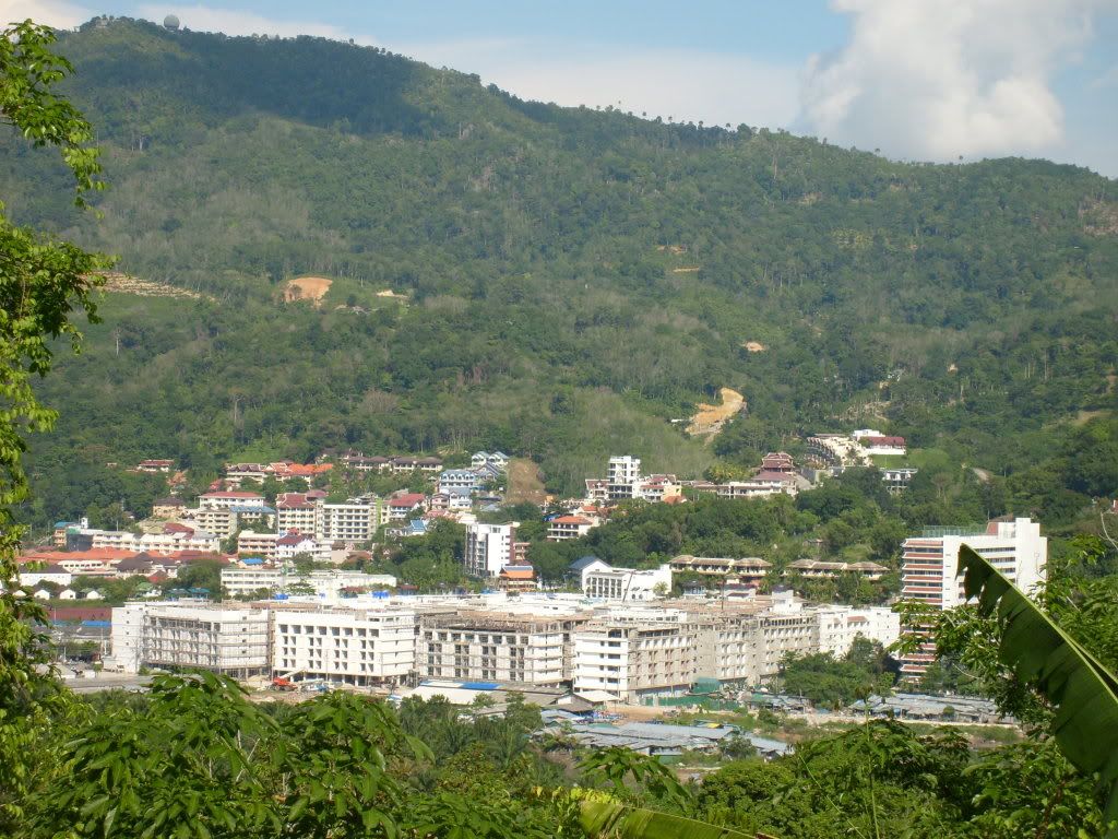 S6300875.jpg