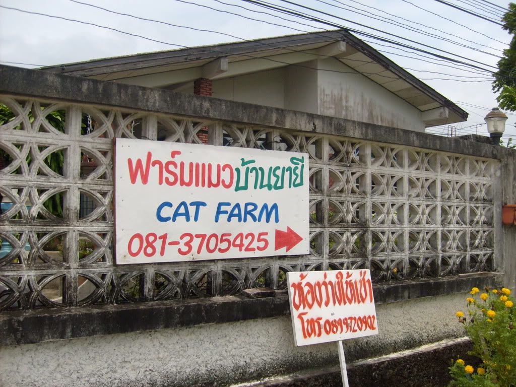 S6301115.jpg