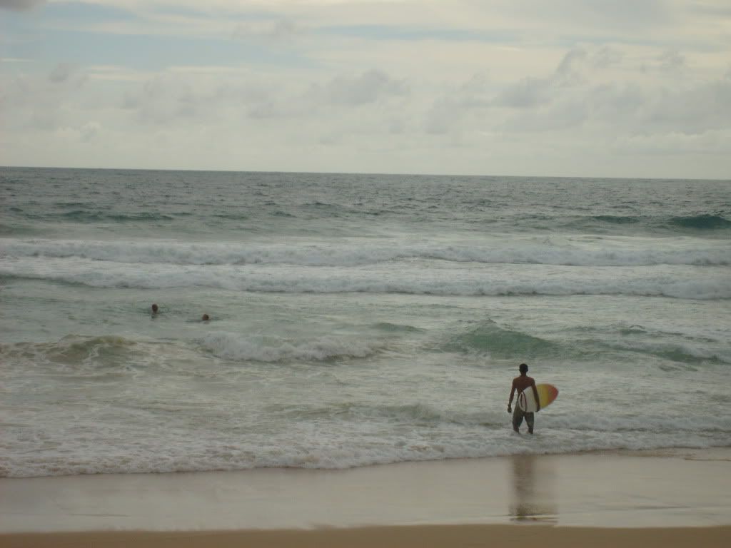 S6301123.jpg