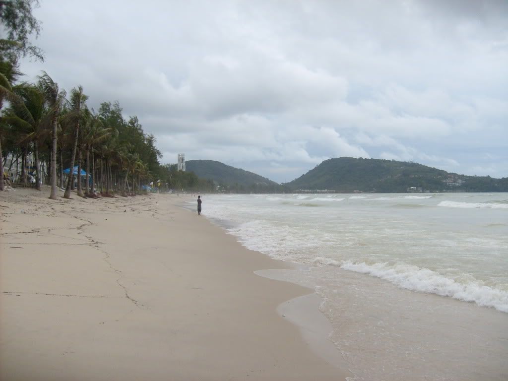 S6301185.jpg
