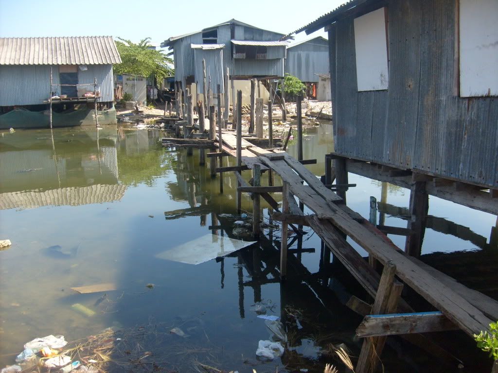 S6301920.jpg