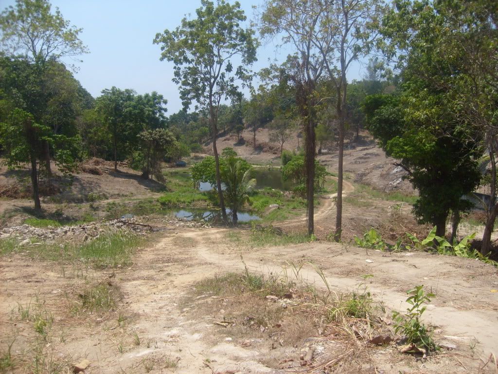 S6301926.jpg