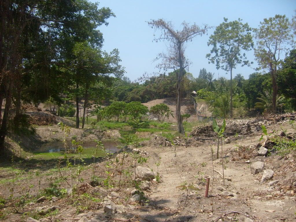 S6301927.jpg