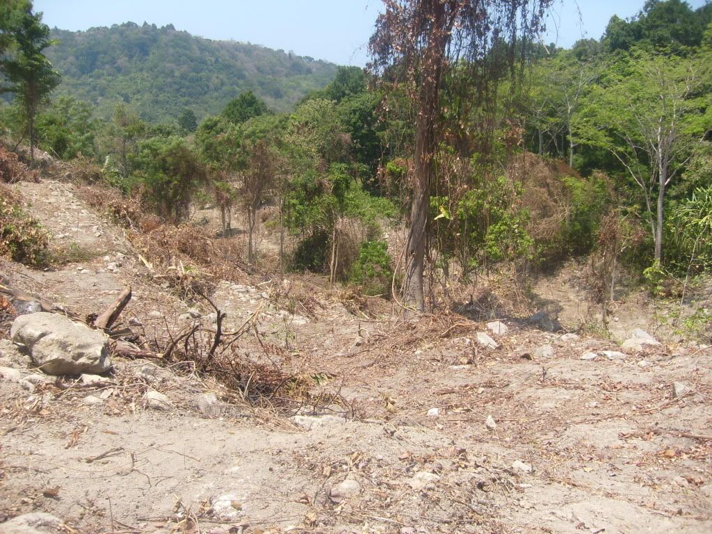 S6301928.jpg