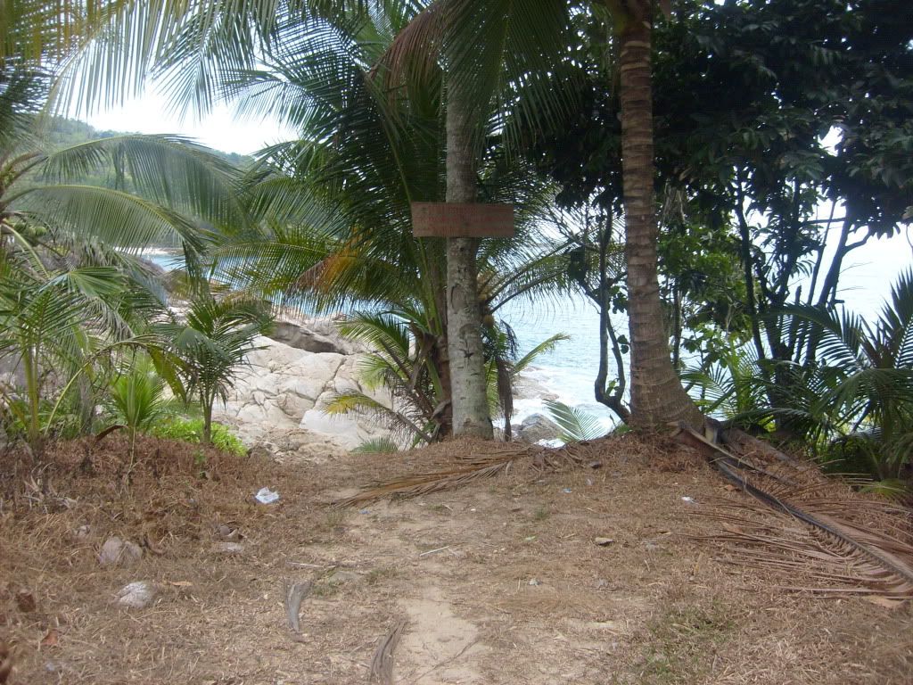 S6301944.jpg