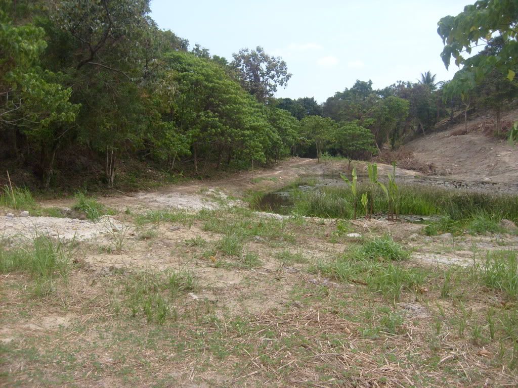 S6301947.jpg
