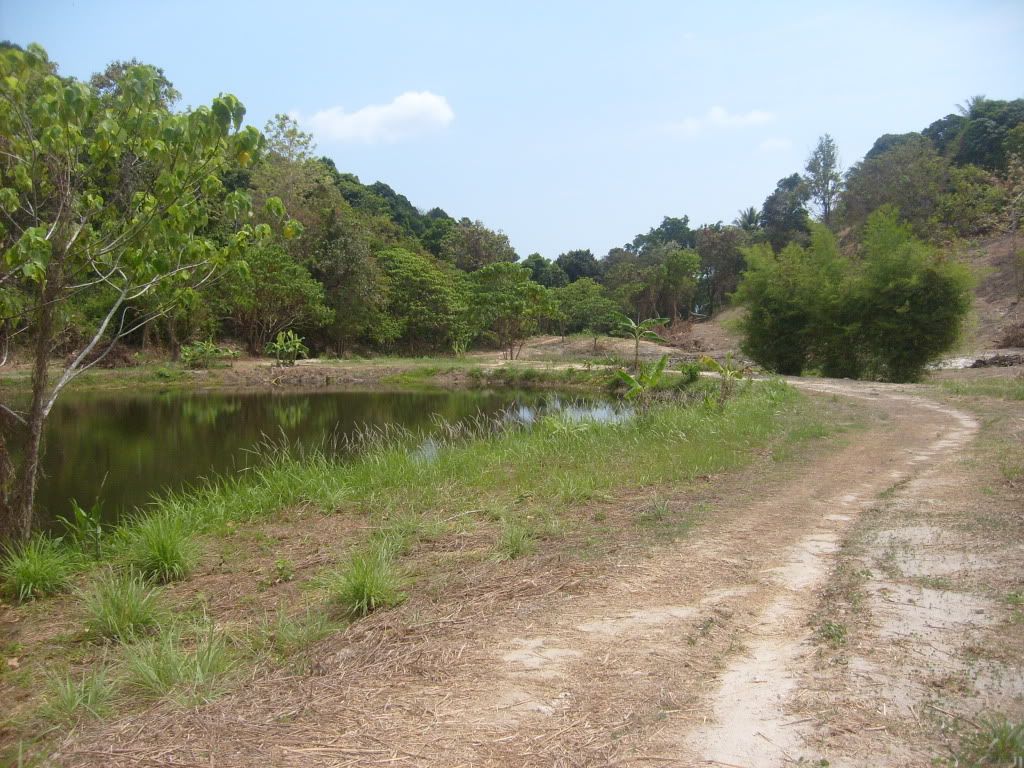 S6301948.jpg