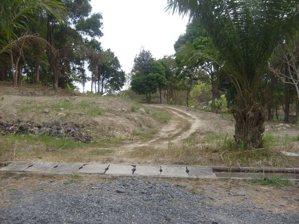 S6301950.jpg