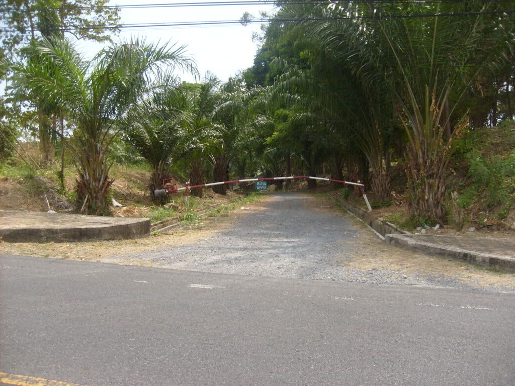 S6301952.jpg