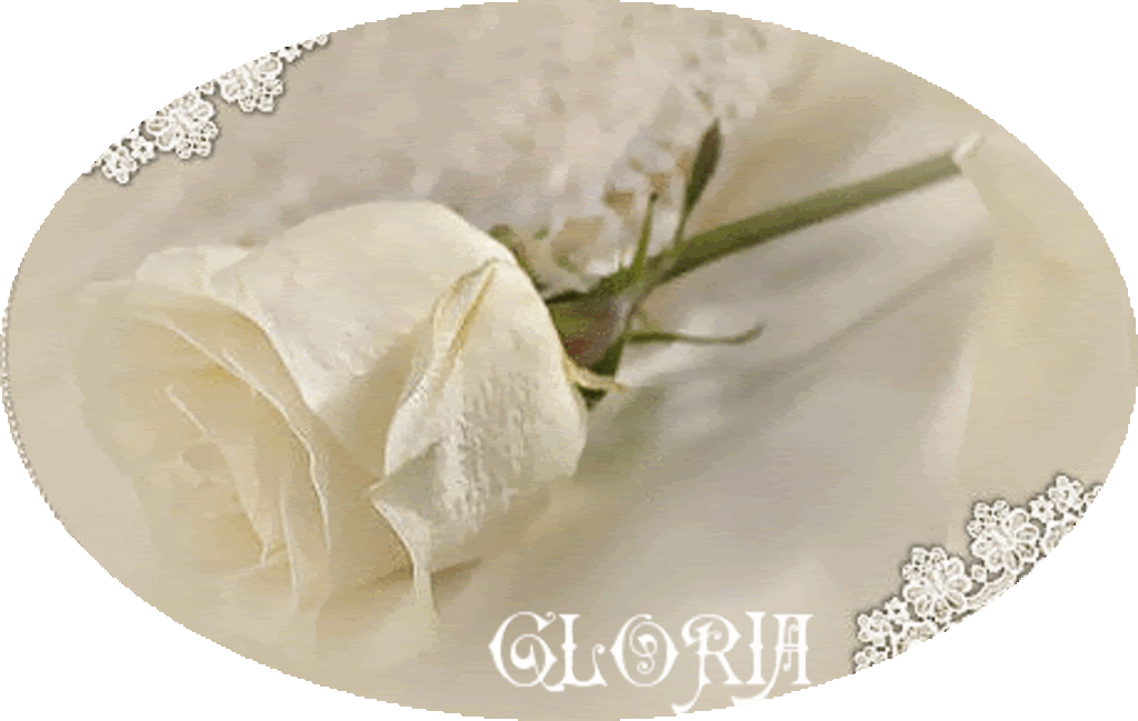 gloria-16.gif picture by Ambar271022