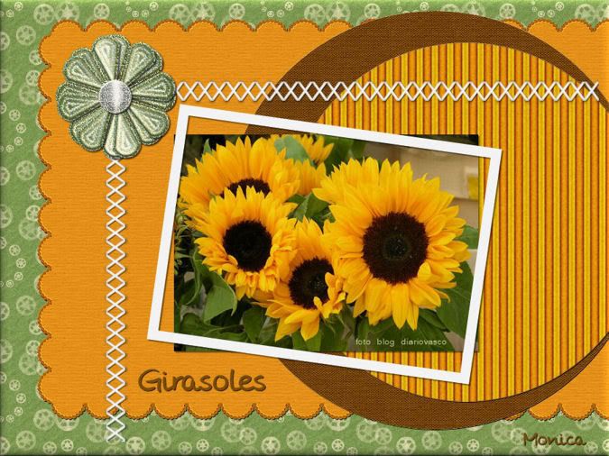 girasoles.jpg picture by Ambar271022