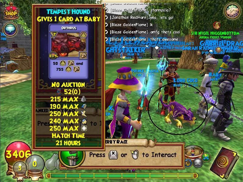 Wizard101 Pet Hatchery - Page 21 - Wizard101 Forum and Wizard101 ...