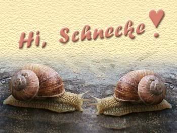 Hy, Schnecke..