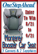 Car Seat Giveaway by 3 Garnets & 2 Sapphires 9/09