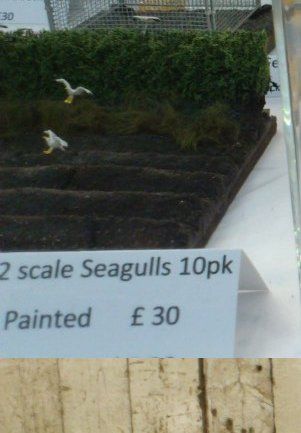 Seagulls1-32.jpg