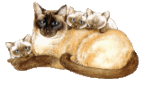 Click the image to open in full size.