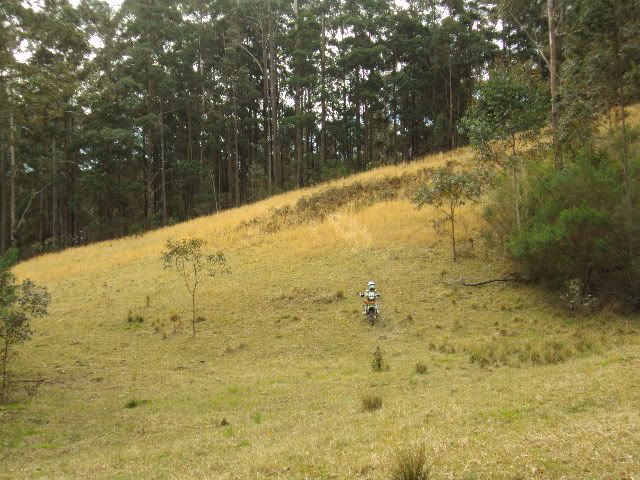 DSC01329.jpg