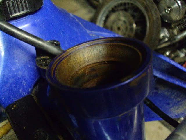 DSC01419.jpg