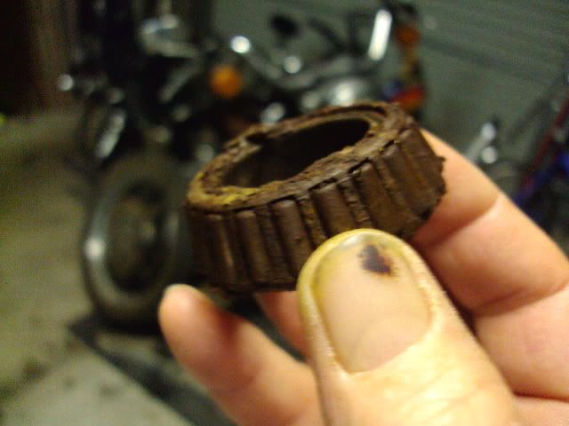 DSC01424.jpg