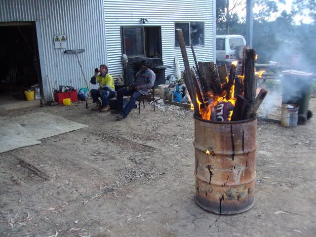 DSC01431.jpg