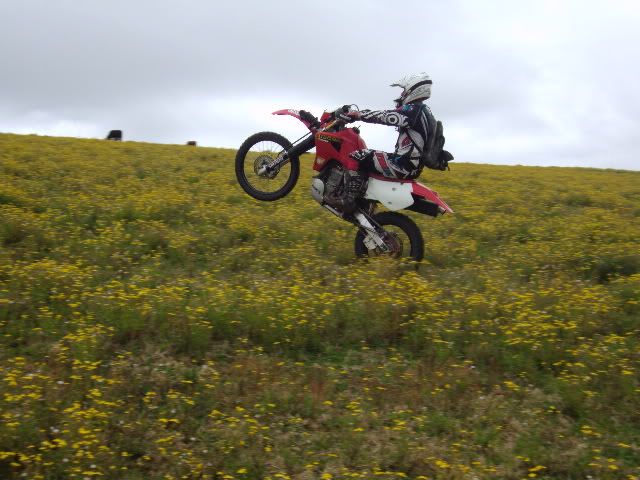 DSC01441.jpg