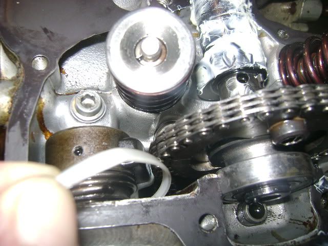 DSC03269.jpg