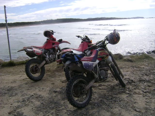 DSC03431.jpg