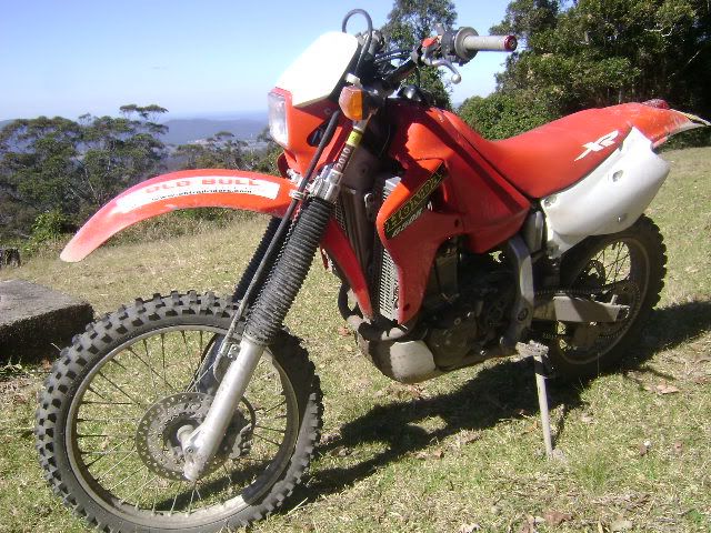 DSC03450.jpg