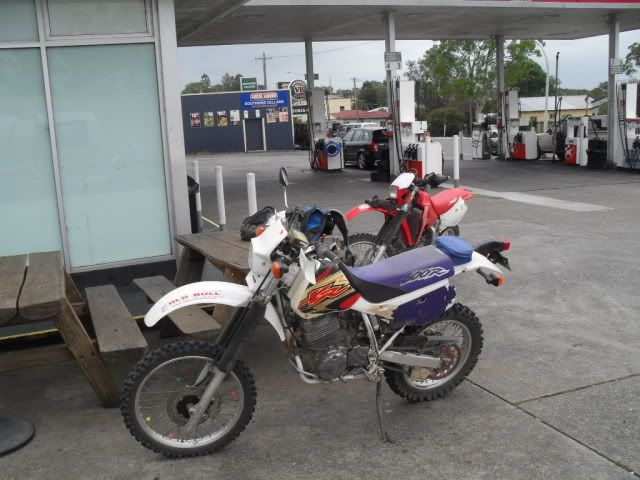 SDC10004.jpg
