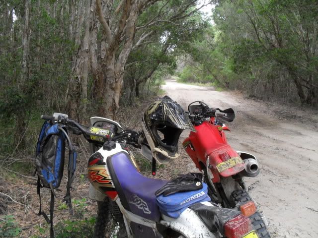 SDC10012.jpg