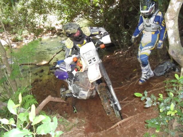 SDC10087.jpg