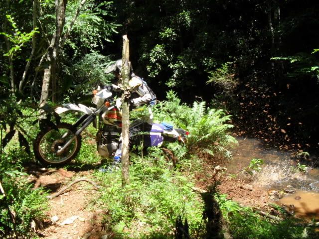 SDC10091.jpg