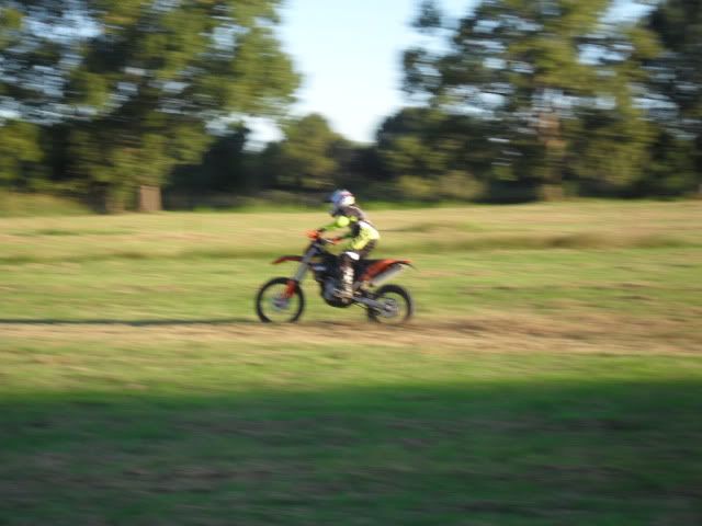 SDC10395.jpg