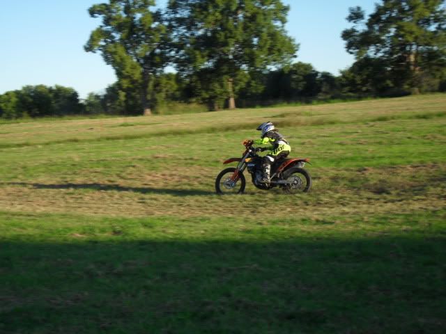 SDC10397.jpg
