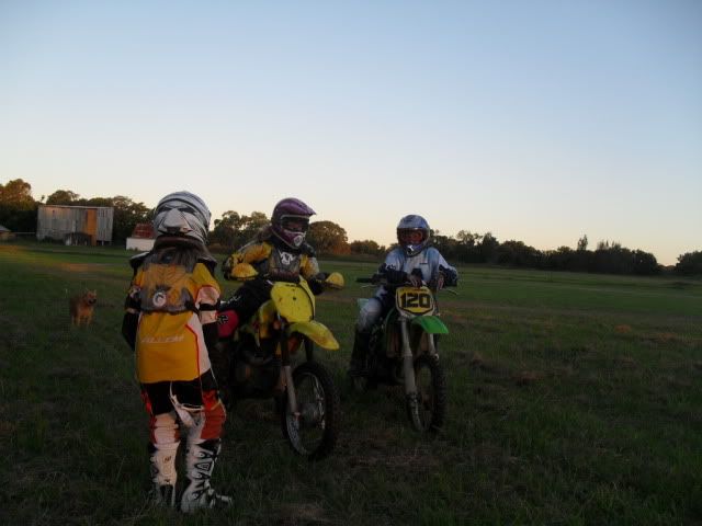 SDC10403.jpg