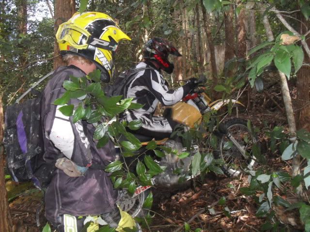SDC10422.jpg