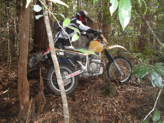 SDC10425.jpg