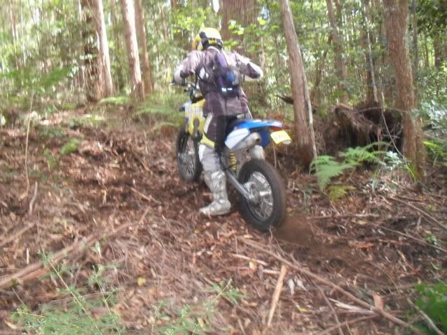 SDC10427.jpg