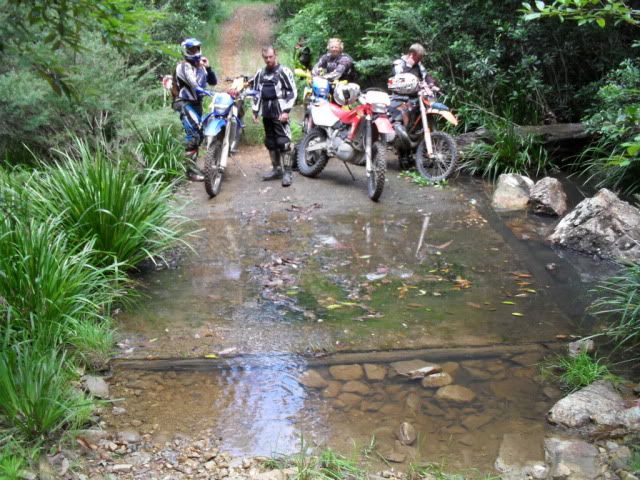 SDC10433.jpg
