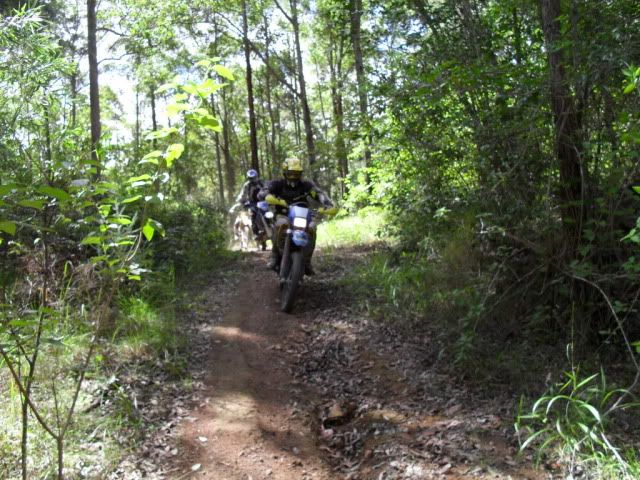 SDC10435.jpg