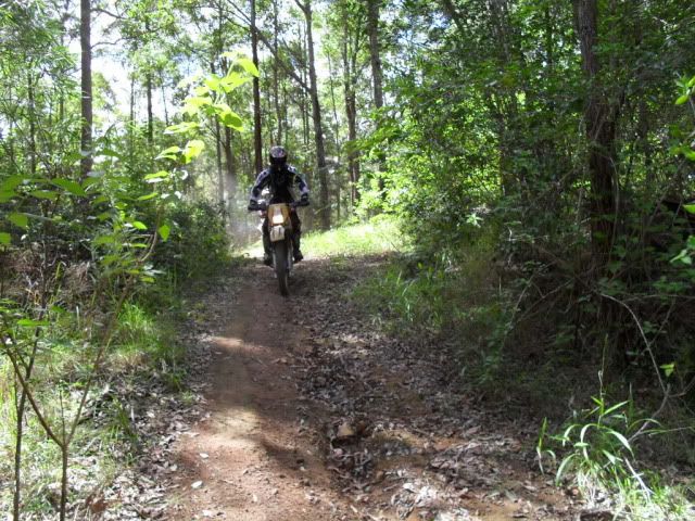 SDC10436.jpg