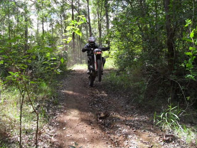 SDC10437.jpg