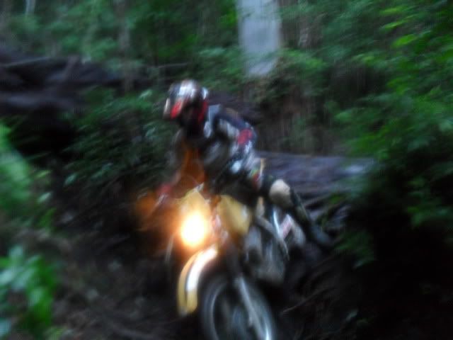 SDC10641.jpg