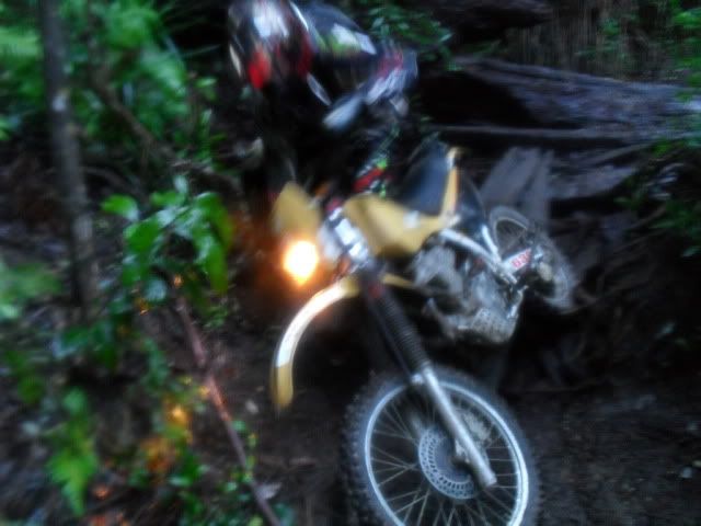 SDC10642.jpg