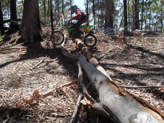 SDC10718.jpg