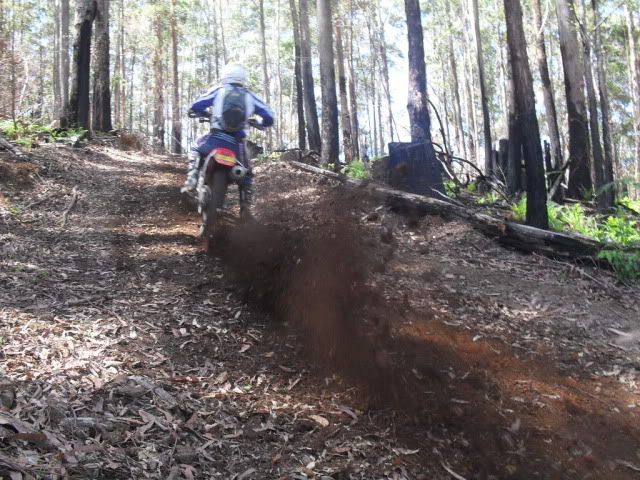 SDC10724.jpg